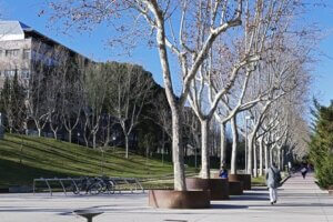 Autonomous University of Madrid
