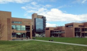 University of Agder
