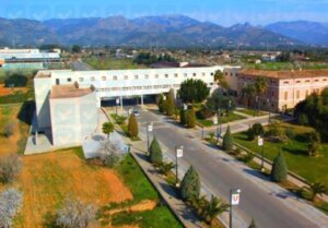 University of the Balearic Islands