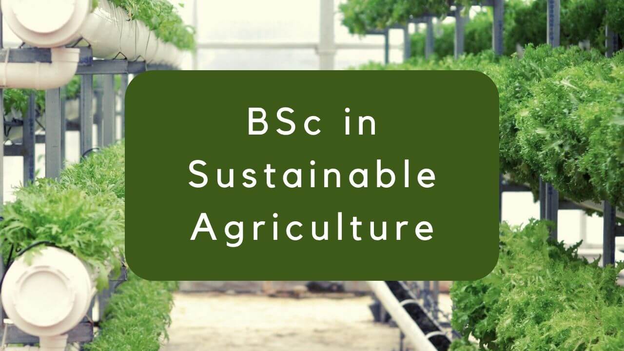 BSc in Sustainable Agriculture