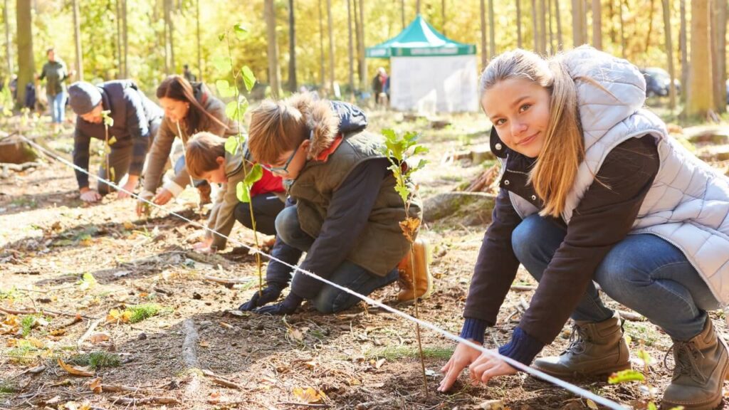 Voluntry jobs in Germany