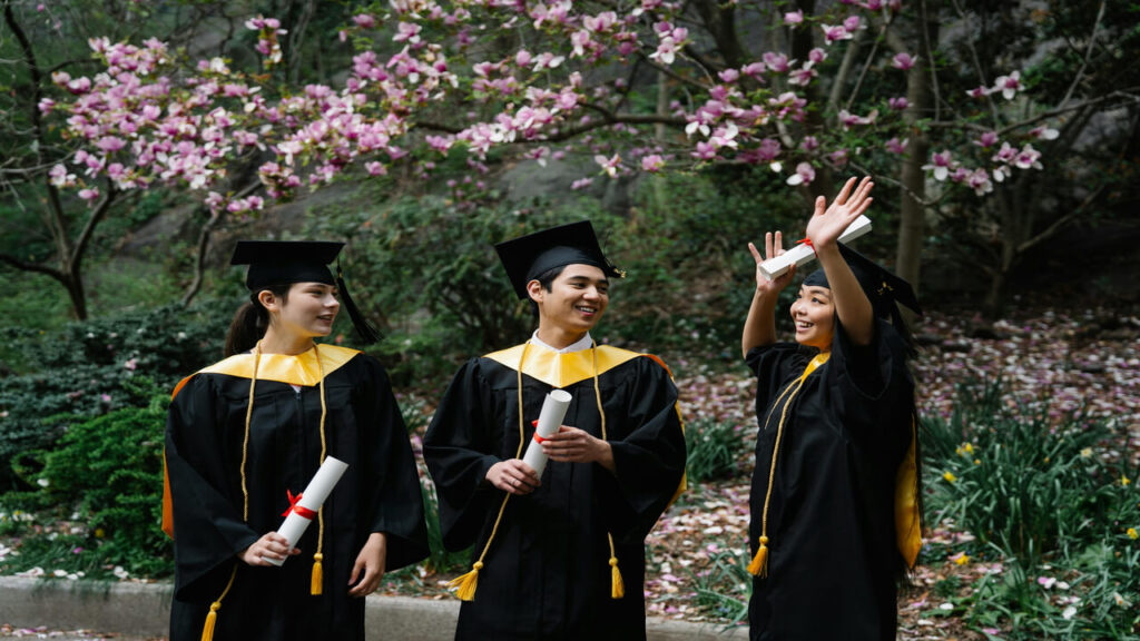 Diploma vs Degree-Which is better