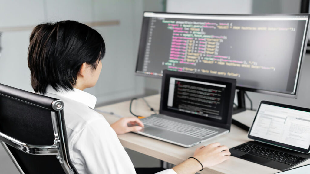 Software Developer