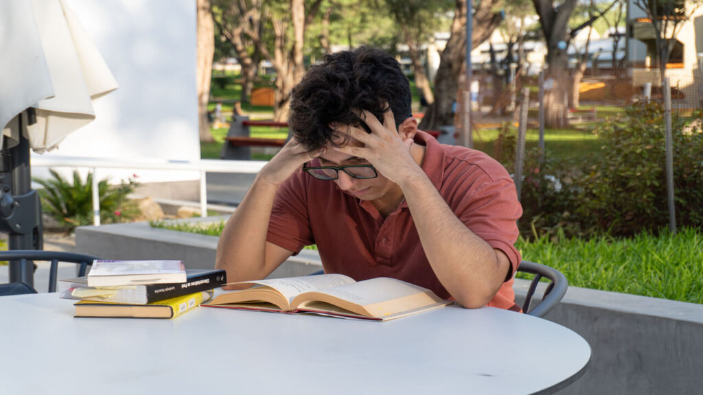 Stress and Mental Health During Study Abroad